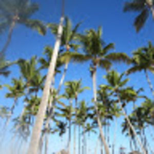 Meet your Posher, Aly